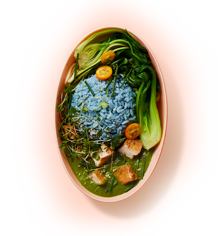 blue-rice-bowl blue-rice-bowl